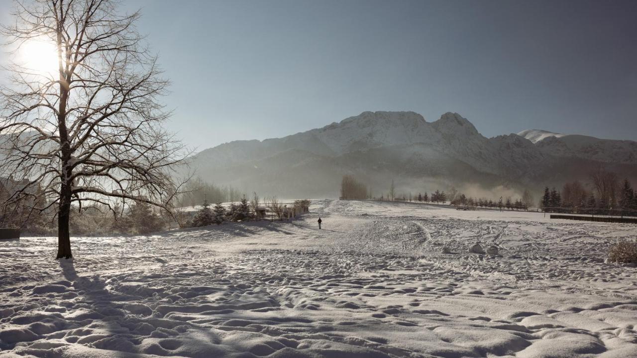 Ferienwohnung Dom Pod Lipkami Zakopane Exterior foto